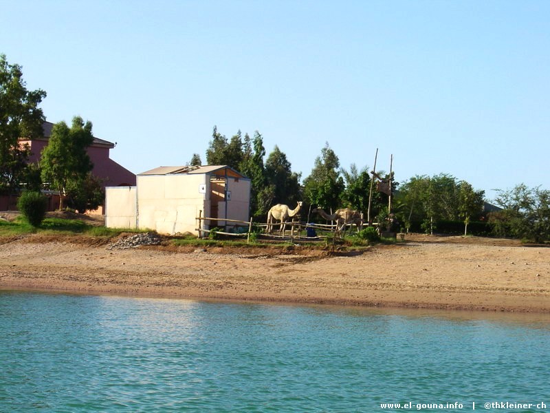 Hotel Sheraton Miramar Resort El Gouna 04281